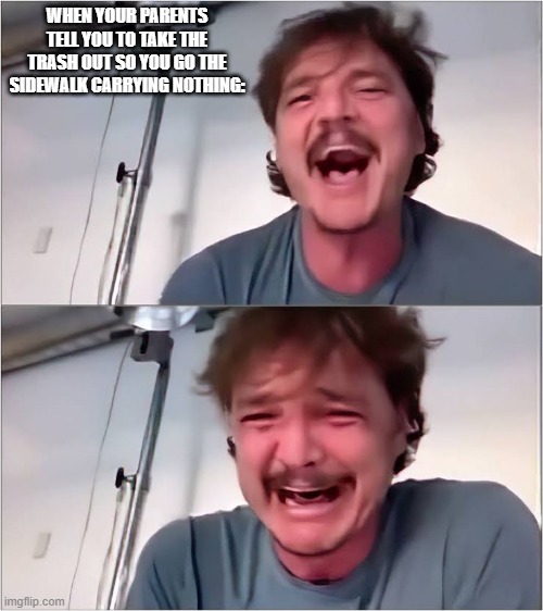 someones gonna get r/wooooshed. I can feel it. | WHEN YOUR PARENTS TELL YOU TO TAKE THE TRASH OUT SO YOU GO THE SIDEWALK CARRYING NOTHING: | image tagged in pedro pascal,crying,realization,stop reading tags you sussy baka,this meme is dead,happiness | made w/ Imgflip meme maker