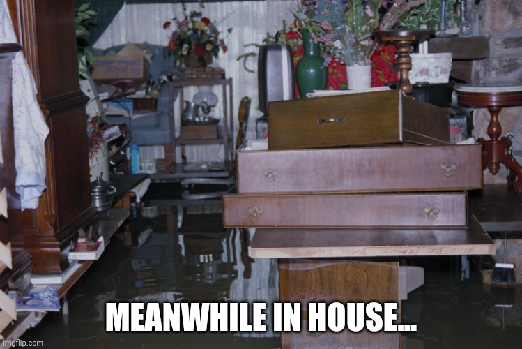 "The Flooded House" [Backrooms: Level 7] | MEANWHILE IN HOUSE... | image tagged in the flooded house backrooms level 7 | made w/ Imgflip meme maker