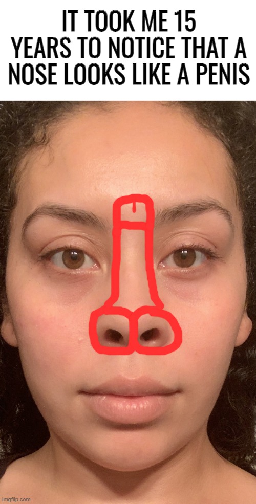 IT TOOK ME 15 YEARS TO NOTICE THAT A NOSE LOOKS LIKE A PENIS | made w/ Imgflip meme maker
