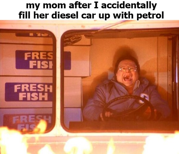 my mom after I accidentally fill her diesel car up with petrol | image tagged in feesh | made w/ Imgflip meme maker