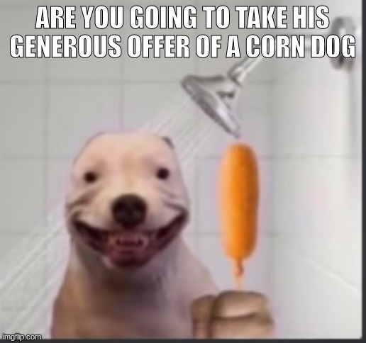 ARE YOU GOING TO TAKE HIS GENEROUS OFFER OF A CORN DOG | image tagged in funny | made w/ Imgflip meme maker