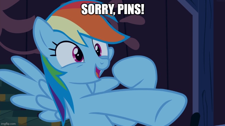 SORRY, PINS! | made w/ Imgflip meme maker