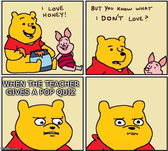It is simply for pain and suffering | WHEN THE TEACHER GIVES A POP QUIZ | image tagged in serious winnie the pooh | made w/ Imgflip meme maker