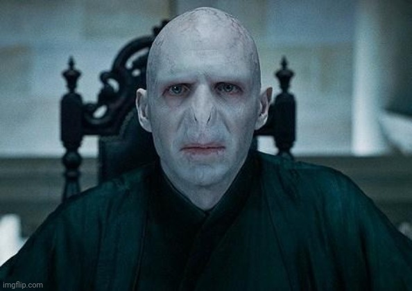 Lord Voldemort | image tagged in lord voldemort | made w/ Imgflip meme maker