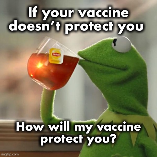 Question for mandate supporters | If your vaccine
doesn’t protect you; How will my vaccine
protect you? | image tagged in memes,but that's none of my business,kermit the frog | made w/ Imgflip meme maker