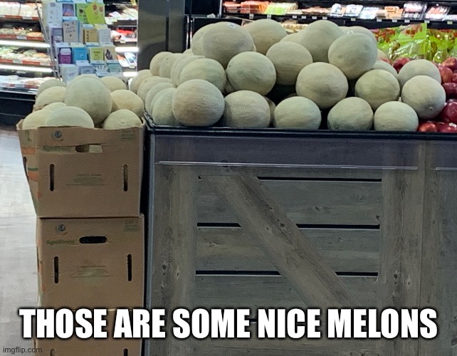 THOSE ARE SOME NICE MELONS | made w/ Imgflip meme maker