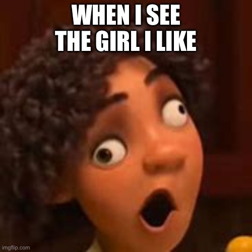 Ok ✅ | WHEN I SEE THE GIRL I LIKE | image tagged in camilo funny face | made w/ Imgflip meme maker
