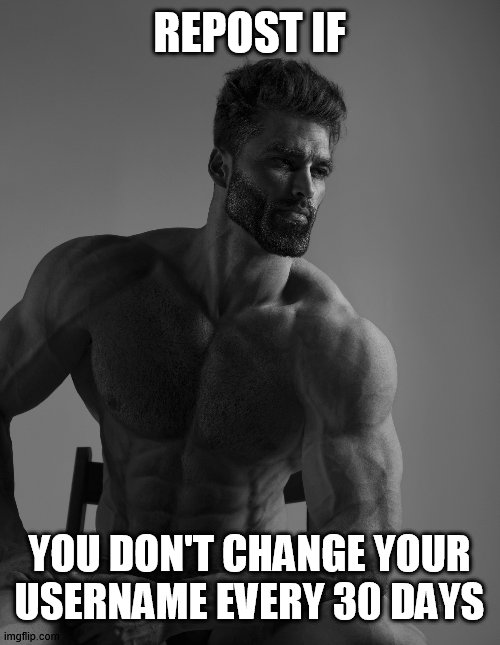 Giga Chad | REPOST IF; YOU DON'T CHANGE YOUR USERNAME EVERY 30 DAYS | image tagged in giga chad | made w/ Imgflip meme maker