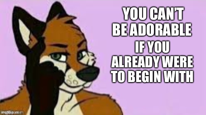 Think about it.. | YOU CAN’T BE ADORABLE; IF YOU ALREADY WERE TO BEGIN WITH | image tagged in roll furry think about it,wholesome | made w/ Imgflip meme maker