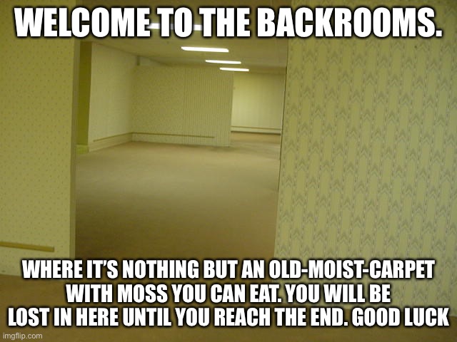 The Backrooms | WELCOME TO THE BACKROOMS. WHERE IT’S NOTHING BUT AN OLD-MOIST-CARPET WITH MOSS YOU CAN EAT. YOU WILL BE LOST IN HERE UNTIL YOU REACH THE END. GOOD LUCK | image tagged in the backrooms | made w/ Imgflip meme maker