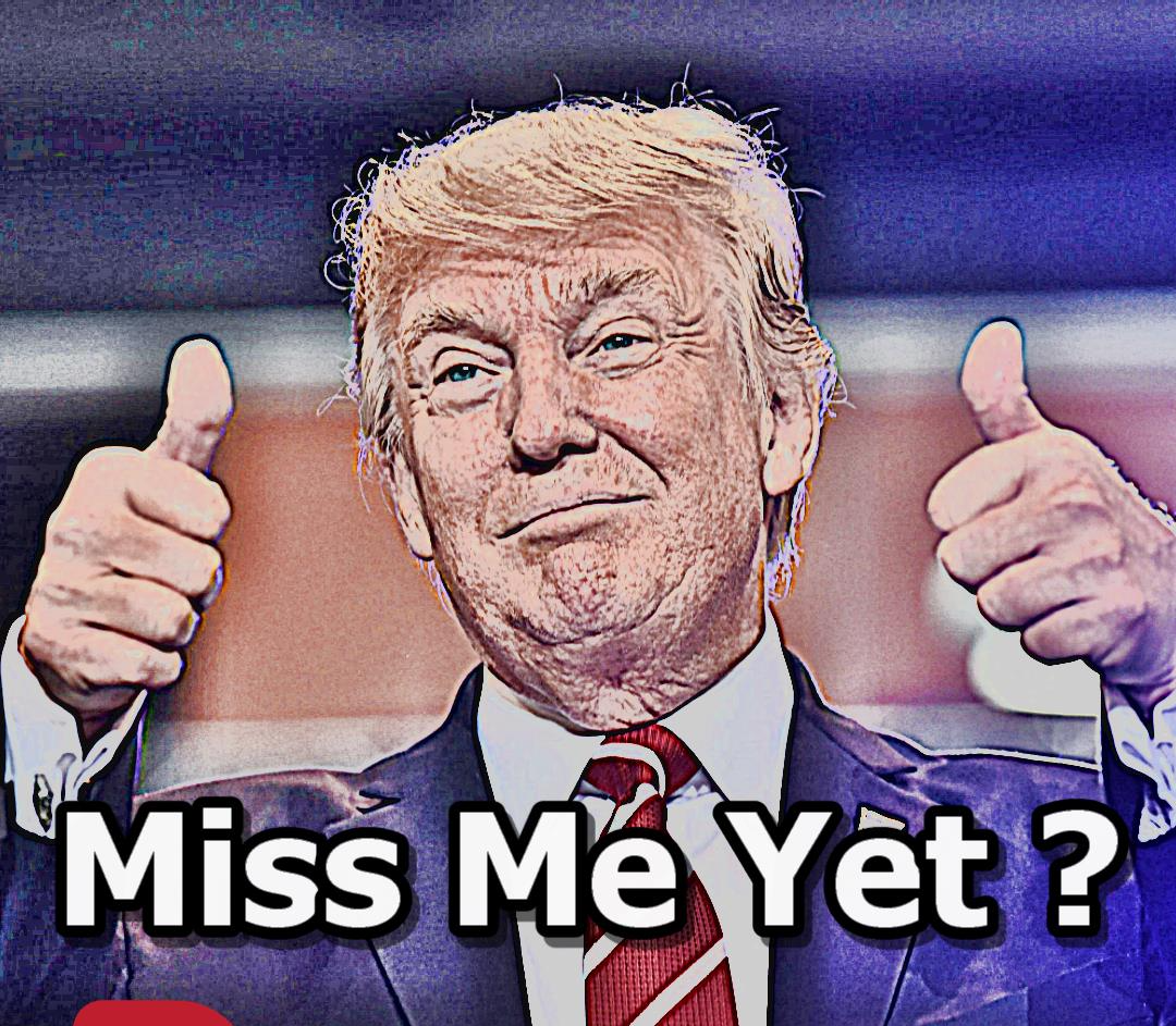 Miss Trump Yet ?? Blank Meme Template