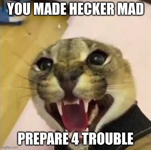 Angry Floppa | YOU MADE HECKER MAD PREPARE 4 TROUBLE | image tagged in angry floppa | made w/ Imgflip meme maker