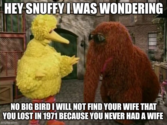Big bird needs help |  HEY SNUFFY I WAS WONDERING; NO BIG BIRD I WILL NOT FIND YOUR WIFE THAT YOU LOST IN 1971 BECAUSE YOU NEVER HAD A WIFE | image tagged in memes,big bird and snuffy | made w/ Imgflip meme maker