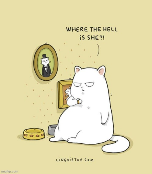 A Cat's way Of Thinking | image tagged in memes,comics,cats,where,is,she | made w/ Imgflip meme maker