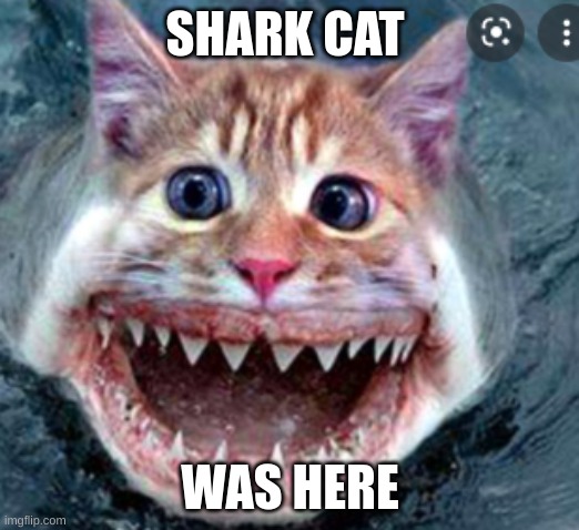 SHARK CAT WAS HERE | made w/ Imgflip meme maker