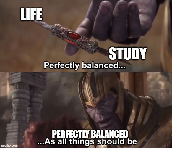 Thanos perfectly balanced as all things should be | LIFE; STUDY; PERFECTLY BALANCED | image tagged in thanos perfectly balanced as all things should be | made w/ Imgflip meme maker