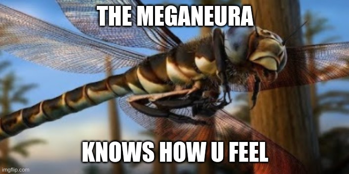 THE MEGANEURA KNOWS HOW U FEEL | made w/ Imgflip meme maker