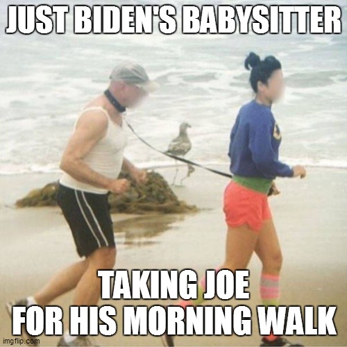 JUST BIDEN'S BABYSITTER; TAKING JOE FOR HIS MORNING WALK | made w/ Imgflip meme maker