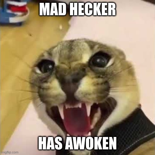 Angry Floppa | MAD HECKER HAS AWOKEN | image tagged in angry floppa | made w/ Imgflip meme maker