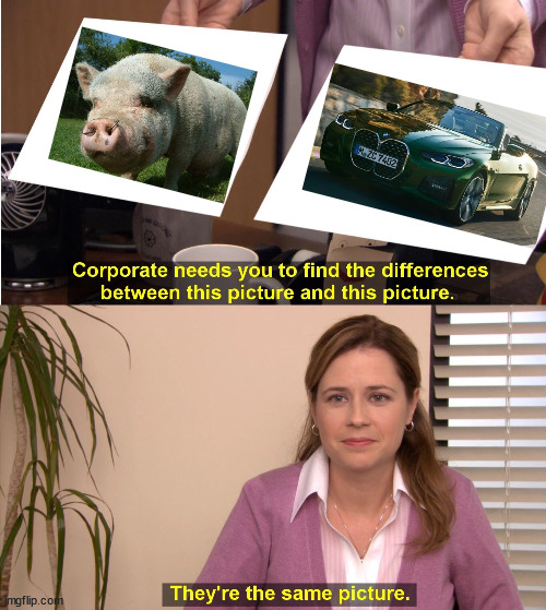 BMW like a pig | image tagged in memes,they're the same picture,bmw,pig,ugly | made w/ Imgflip meme maker