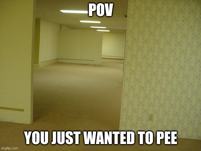 gosh darn it | POV; YOU JUST WANTED TO PEE | image tagged in the backrooms | made w/ Imgflip meme maker