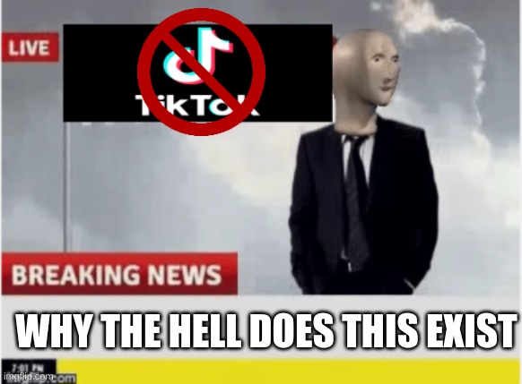 Tiktok news | WHY THE HELL DOES THIS EXIST | image tagged in tiktok news | made w/ Imgflip meme maker