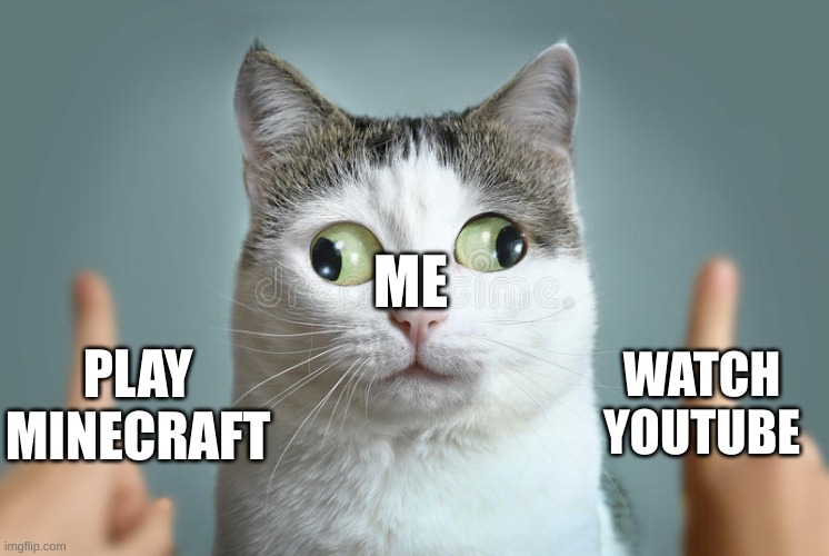 I can't choose | ME; PLAY MINECRAFT; WATCH YOUTUBE | image tagged in cat can't choose | made w/ Imgflip meme maker