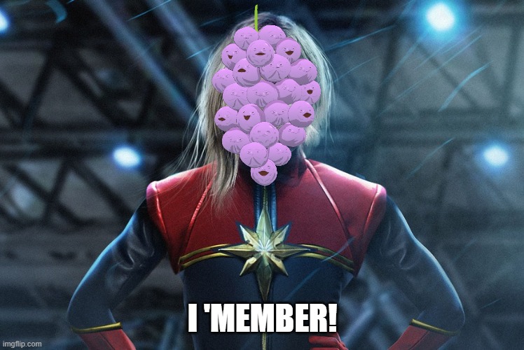 I 'MEMBER! | made w/ Imgflip meme maker