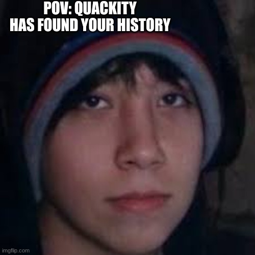 first we had gogy now | POV: QUACKITY HAS FOUND YOUR HISTORY | image tagged in dreamsmp,quackity,funny,dream | made w/ Imgflip meme maker