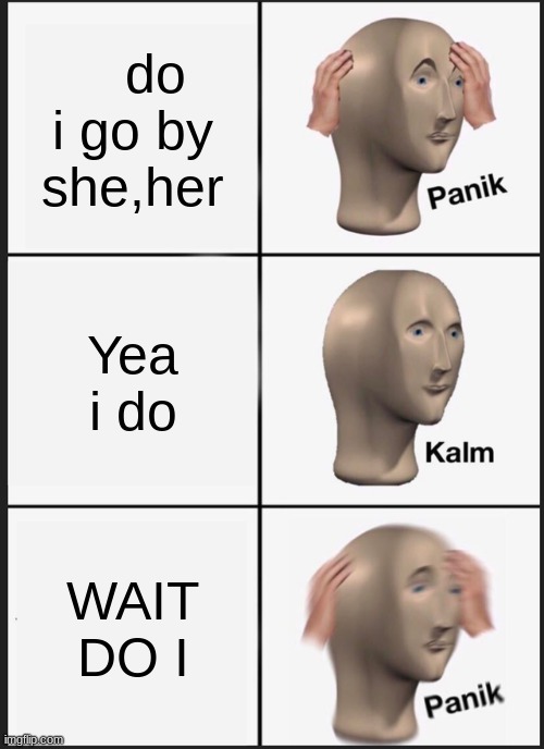 Panik Kalm Panik Meme | do i go by she,her; Yea i do; WAIT DO I | image tagged in memes,panik kalm panik | made w/ Imgflip meme maker