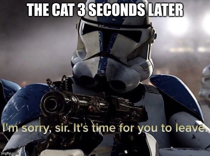 It's time for you to leave | THE CAT 3 SECONDS LATER | image tagged in it's time for you to leave | made w/ Imgflip meme maker