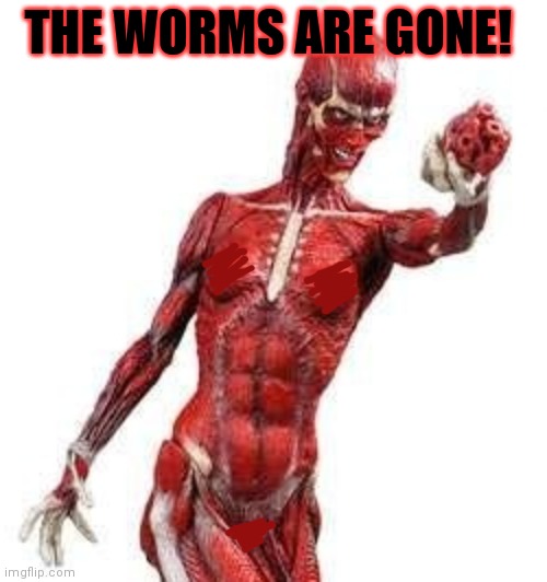 THE WORMS ARE GONE! | made w/ Imgflip meme maker