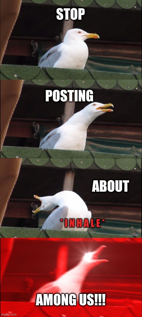 STOP!!!! | STOP; POSTING; ABOUT; * I N H A L E *; AMONG US!!! | image tagged in memes,inhaling seagull | made w/ Imgflip meme maker
