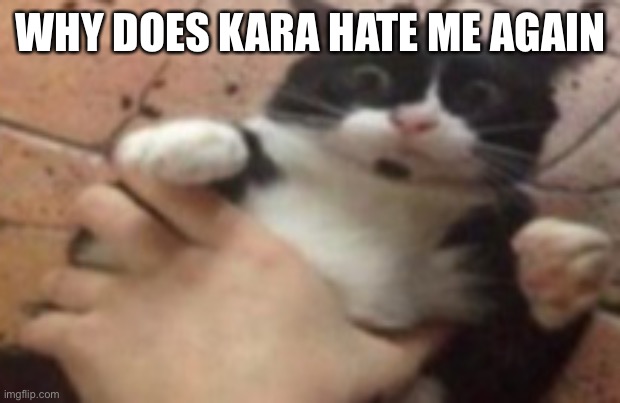 Run | WHY DOES KARA HATE ME AGAIN | image tagged in run | made w/ Imgflip meme maker