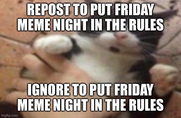 Run | REPOST TO PUT FRIDAY MEME NIGHT IN THE RULES; IGNORE TO PUT FRIDAY MEME NIGHT IN THE RULES | image tagged in run | made w/ Imgflip meme maker