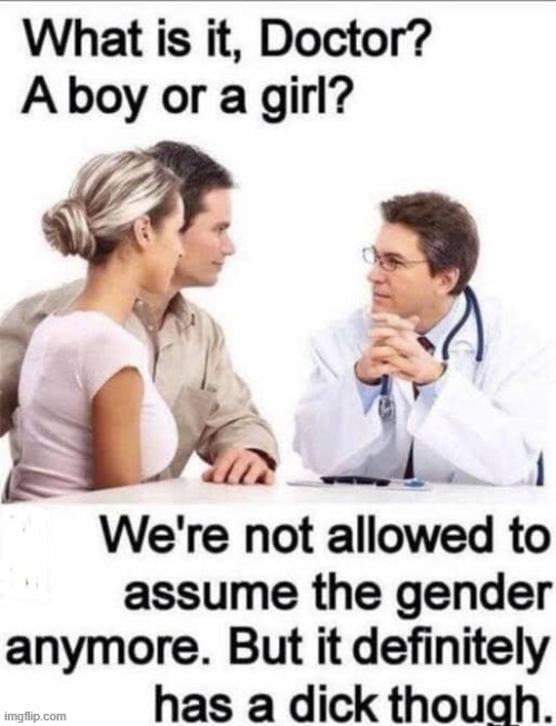 Gender | image tagged in bender | made w/ Imgflip meme maker