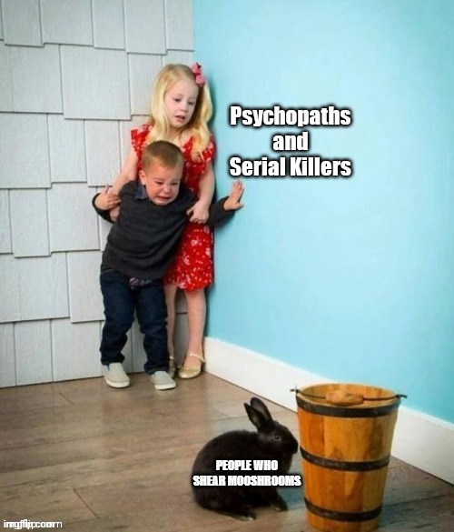 ah yes a meme | PEOPLE WHO SHEAR MOOSHROOMS | image tagged in psychopaths and serial killers | made w/ Imgflip meme maker