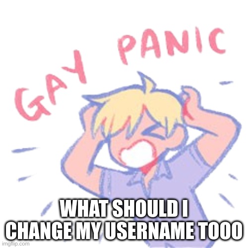Gay panic | WHAT SHOULD I CHANGE MY USERNAME TOOO | image tagged in gay panic | made w/ Imgflip meme maker