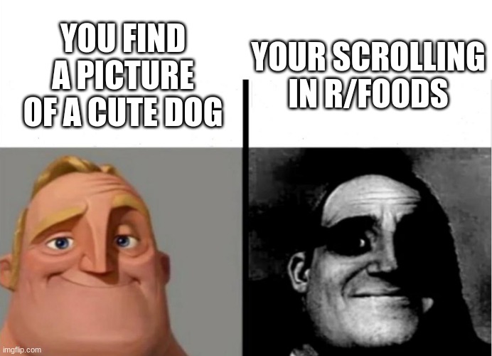 Teacher's Copy | YOUR SCROLLING IN R/FOODS; YOU FIND A PICTURE OF A CUTE DOG | image tagged in teacher's copy,dog,memes | made w/ Imgflip meme maker