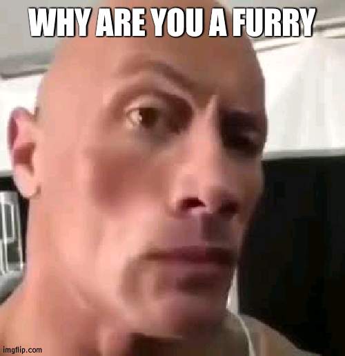 The Rock Eyebrows | WHY ARE YOU A FURRY | image tagged in the rock eyebrows | made w/ Imgflip meme maker