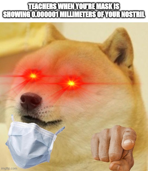 Doge Meme | TEACHERS WHEN YOU'RE MASK IS SHOWING 0.000001 MILLIMETERS OF YOUR NOSTRIL | image tagged in memes,doge | made w/ Imgflip meme maker