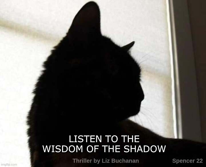 LISTEN TO THE WISDOM OF THE SHADOW | image tagged in cat,wisdom,shadow,listen | made w/ Imgflip meme maker