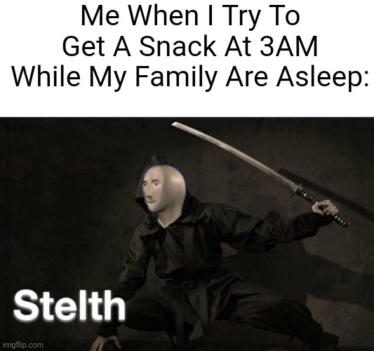 Relatable? | Me When I Try To Get A Snack At 3AM While My Family Are Asleep: | image tagged in stelth | made w/ Imgflip meme maker
