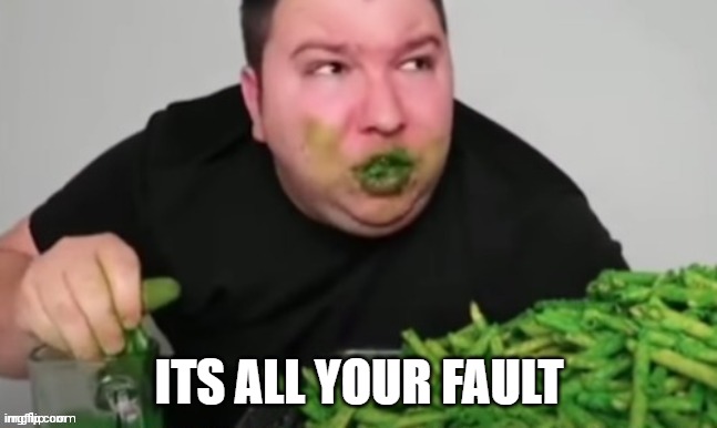 Nikocado avocado | ITS ALL YOUR FAULT | image tagged in nikocado avocado | made w/ Imgflip meme maker