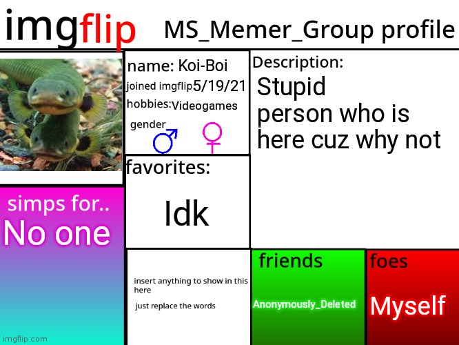 MSMG Profile | Koi-Boi; Stupid person who is here cuz why not; 5/19/21; Videogames; Idk; No one; Myself; Anonymously_Deleted | image tagged in msmg profile | made w/ Imgflip meme maker