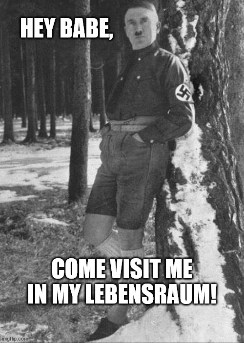 Hitler Dating |  HEY BABE, COME VISIT ME IN MY LEBENSRAUM! | image tagged in bad joke hitler | made w/ Imgflip meme maker