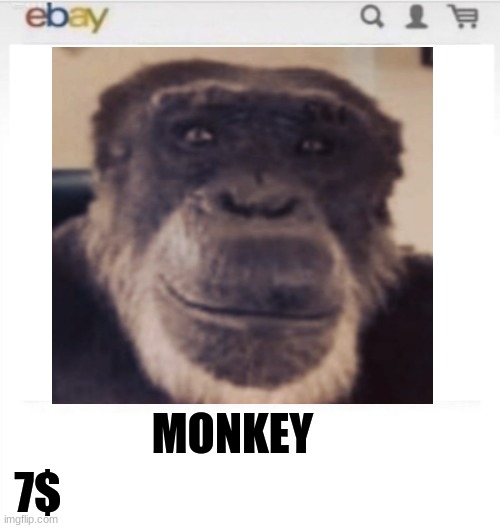 -monkey- |  MONKEY; 7$ | image tagged in monkey,funny,ebay | made w/ Imgflip meme maker