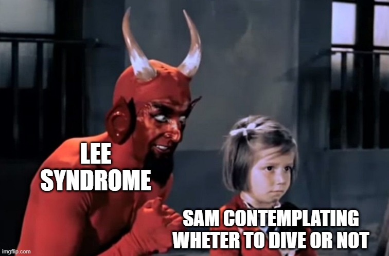 Diabo vai lá | LEE SYNDROME; SAM CONTEMPLATING WHETER TO DIVE OR NOT | image tagged in diabo vai l | made w/ Imgflip meme maker