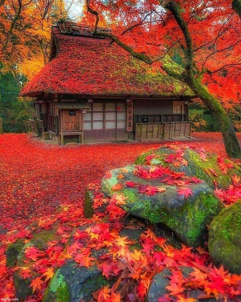 So colorful | image tagged in awesome | made w/ Imgflip meme maker