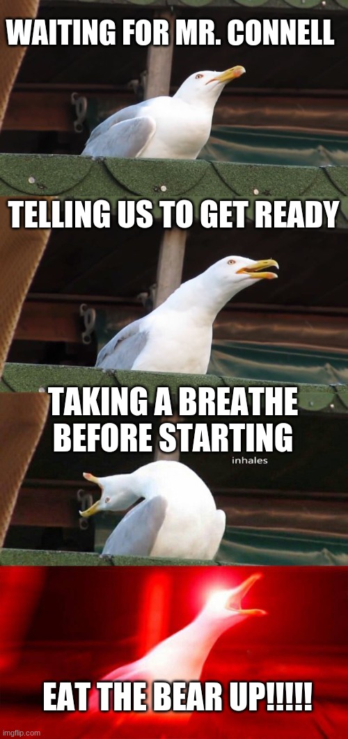 Before Singing | WAITING FOR MR. CONNELL; TELLING US TO GET READY; TAKING A BREATHE BEFORE STARTING; EAT THE BEAR UP!!!!! | image tagged in inhaling seagull 4 red | made w/ Imgflip meme maker